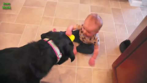 Baby & Dog Funny Video