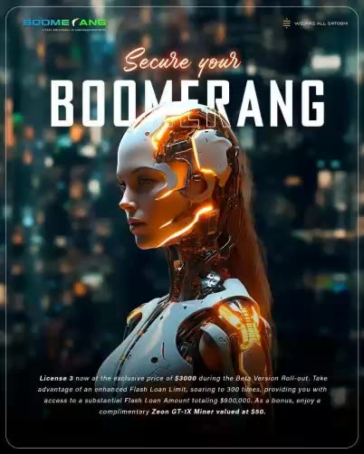 BOOMERANG - AUTOMATED AI BOT CRYPTO TRADING PROFITS - TOP TEAM ROB BUSER