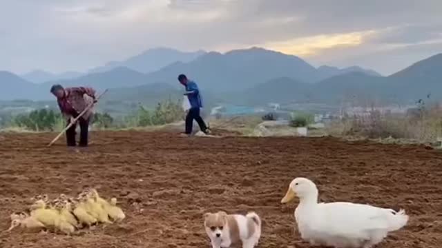 our love will last forever