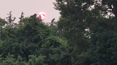 THR SUN MOVED IN A PATTERN NEVER SEEN BEFORE