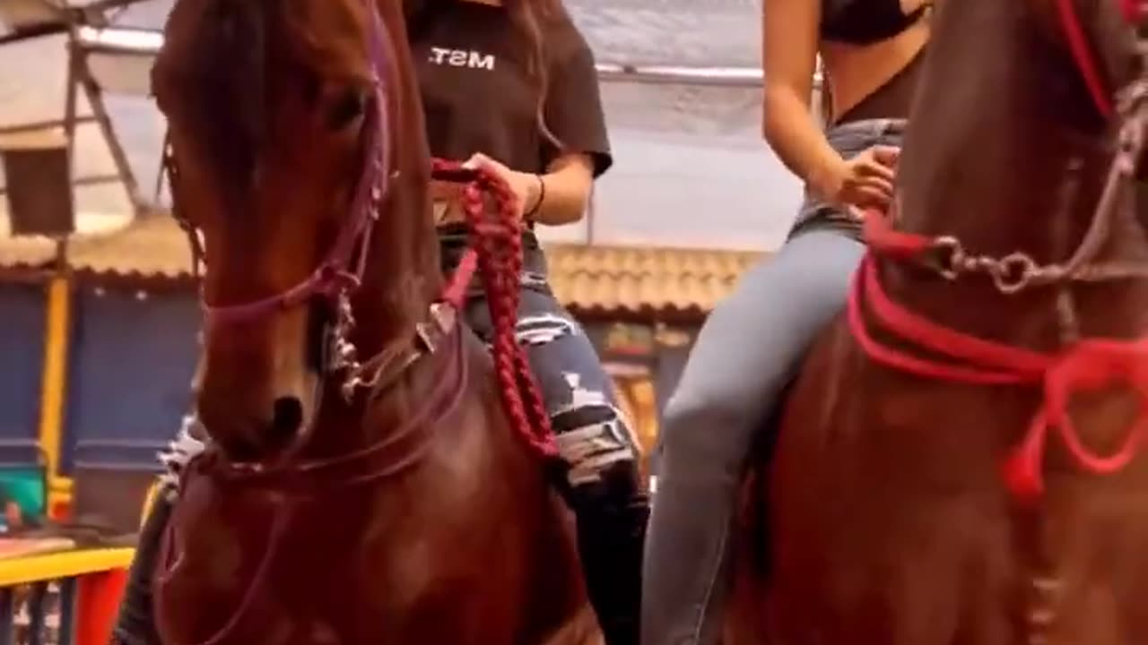 caballos