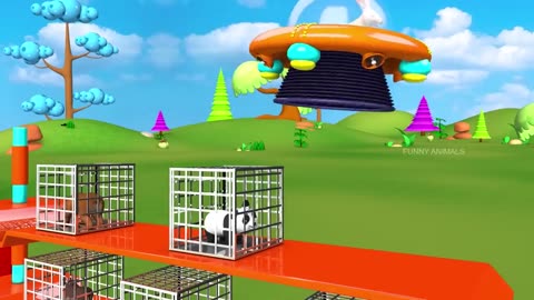monkey video