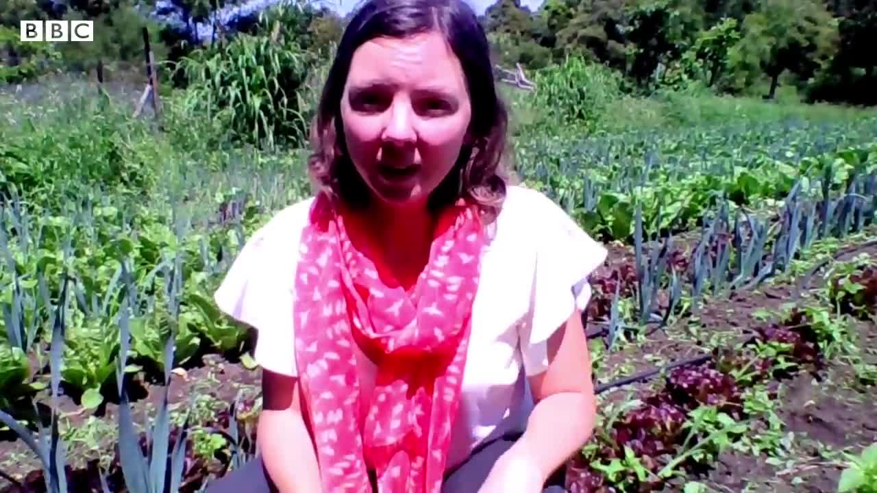 The farm helping refugees build a life in Australia - BBC News