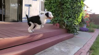 Slow mo leap