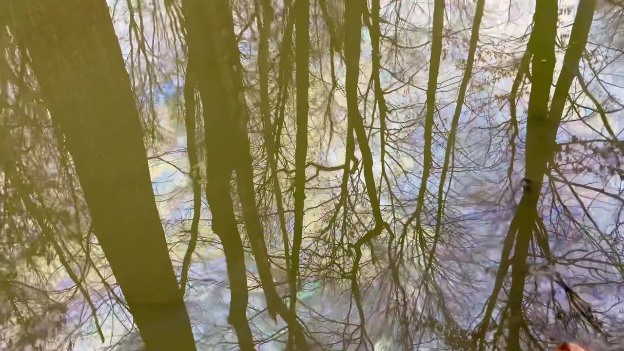 Water in East Palestine, Ohio