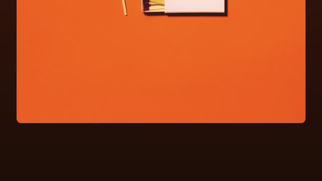 🎼🔚🦁🦁🐑🦁🦁🎬🎼