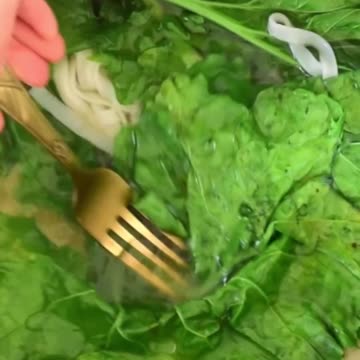 Creamy avocado kale pasta Vegan Recipe