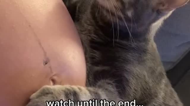 Cat Realizes Pregnant Woman Has A Baby Inside