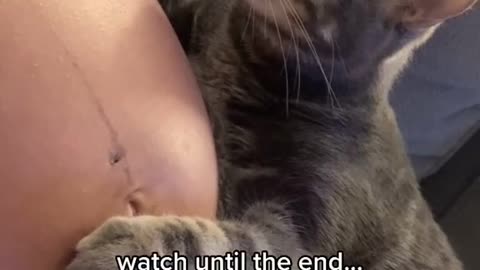 Cat Realizes Pregnant Woman Has A Baby Inside