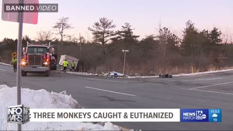 The War Room in Full HD for January 28, 2022.