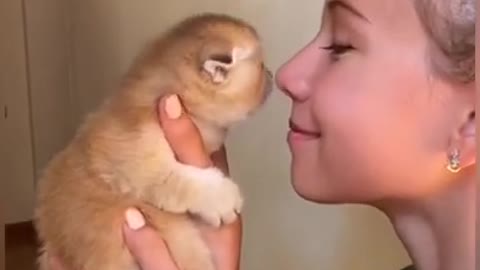 Cat kissing to baby