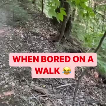 WHEN BORED ON A WALK 😂