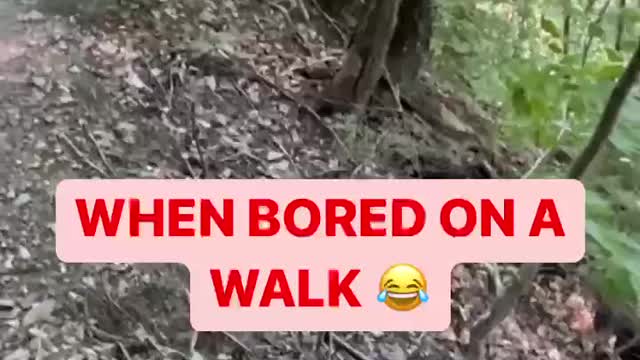WHEN BORED ON A WALK 😂