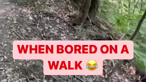 WHEN BORED ON A WALK 😂