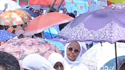 Stopamhara genocide