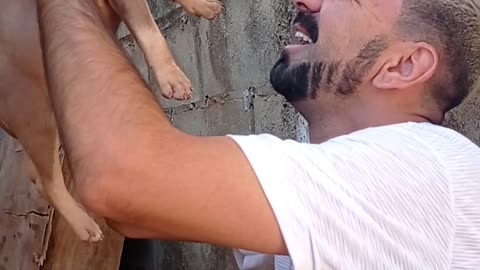 Guy Resuscitates Limp Puppy with no Heartbeat