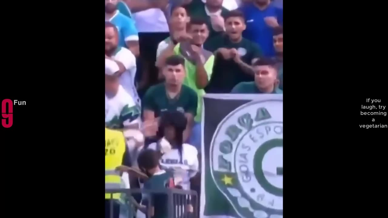 Try Not To Laugh Funny Videos ------