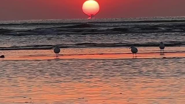 If you love, life is lovely.