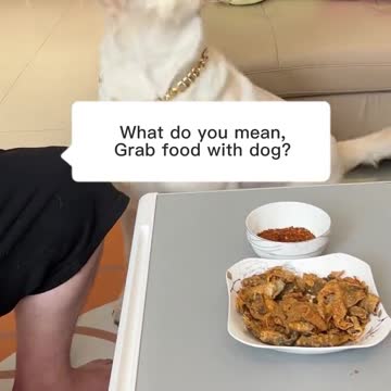 The dog's reaction when his master fooled him