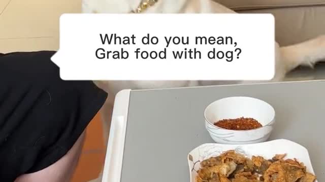 The dog's reaction when his master fooled him
