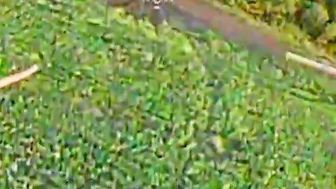 🎯 Ukraine Russia War | Shadow Drone Unit's FPV Strike on Russian 2S3 Akatsiya SPG | RCF
