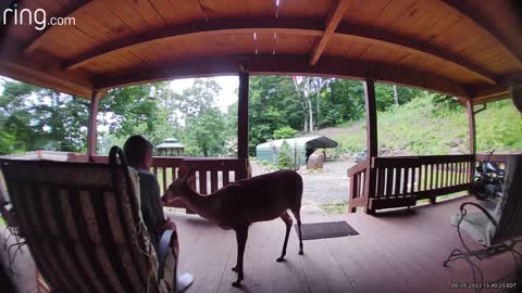 I think I inadvertently got a new girlfriend 🦌 Not the first time 🤣 NC High country God’s country