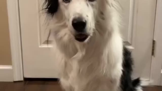 嗨！！！！！！😝