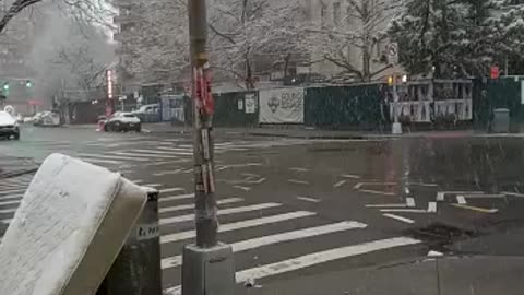 Beautiful view of snowfall in New York State