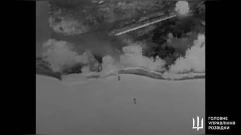 Ukrainian special forces landed in Crimea last night