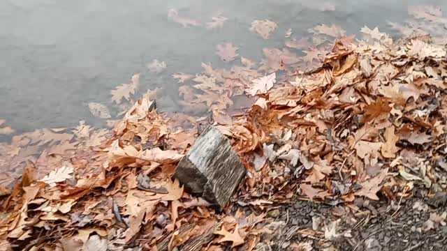 December fishing in southeast Pennsylvania not only fishing but catching