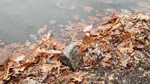 December fishing in southeast Pennsylvania not only fishing but catching