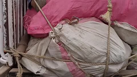 Difficult labour life,,,https://payup.video/u/205463