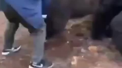 OK One more---> 🇺🇸 vs 🇷🇺 😄