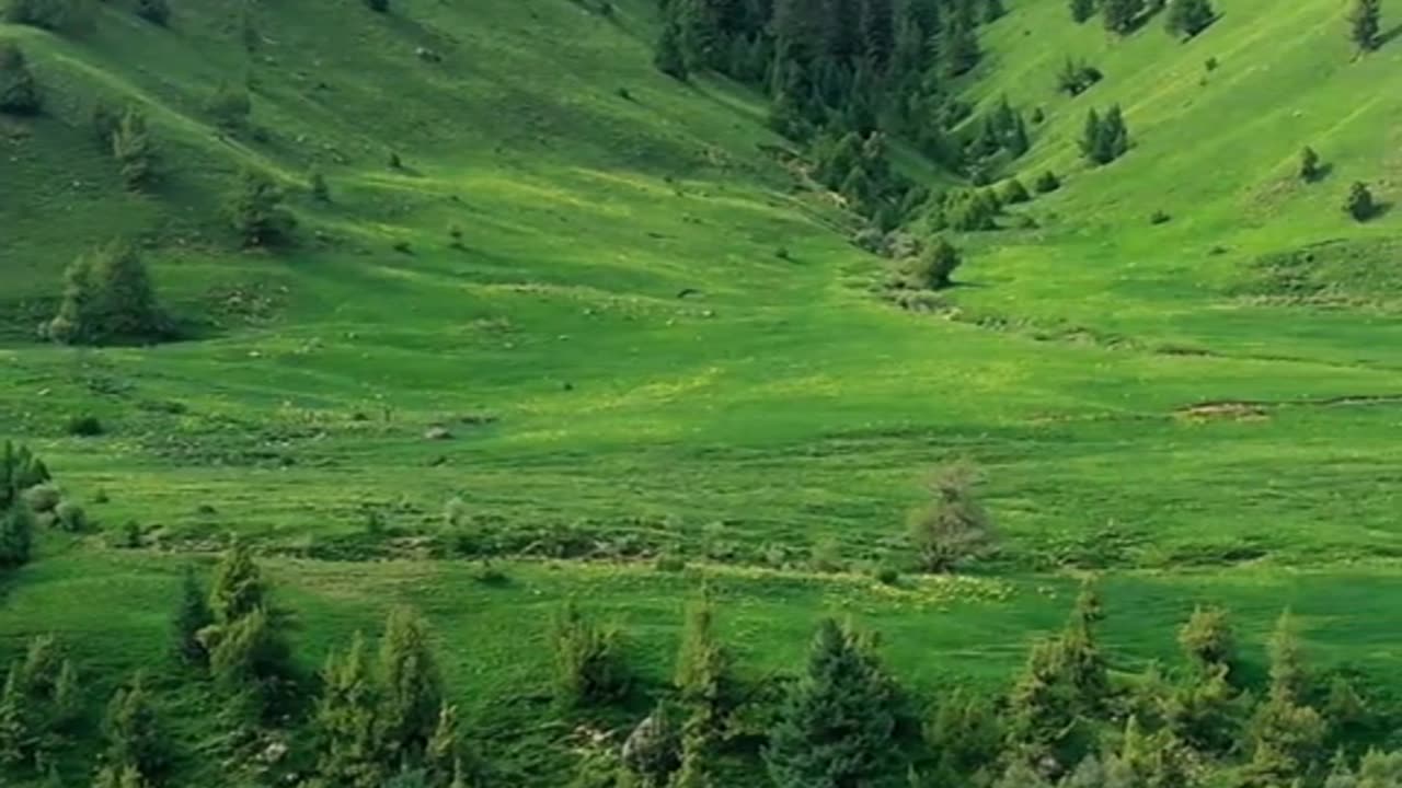 Beauty of nature 13²