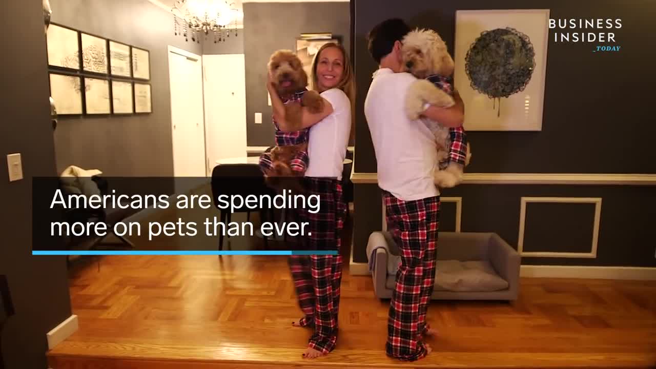 Why Americans Spend So Much Money On Pets