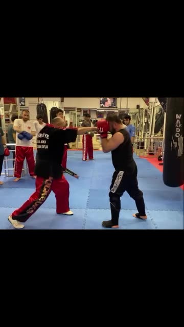 Sparring Techniques