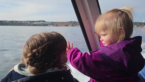 Star line back to Mackinac