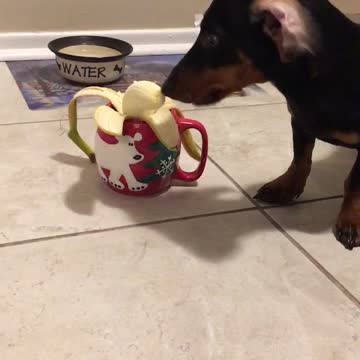 I love me some bananas