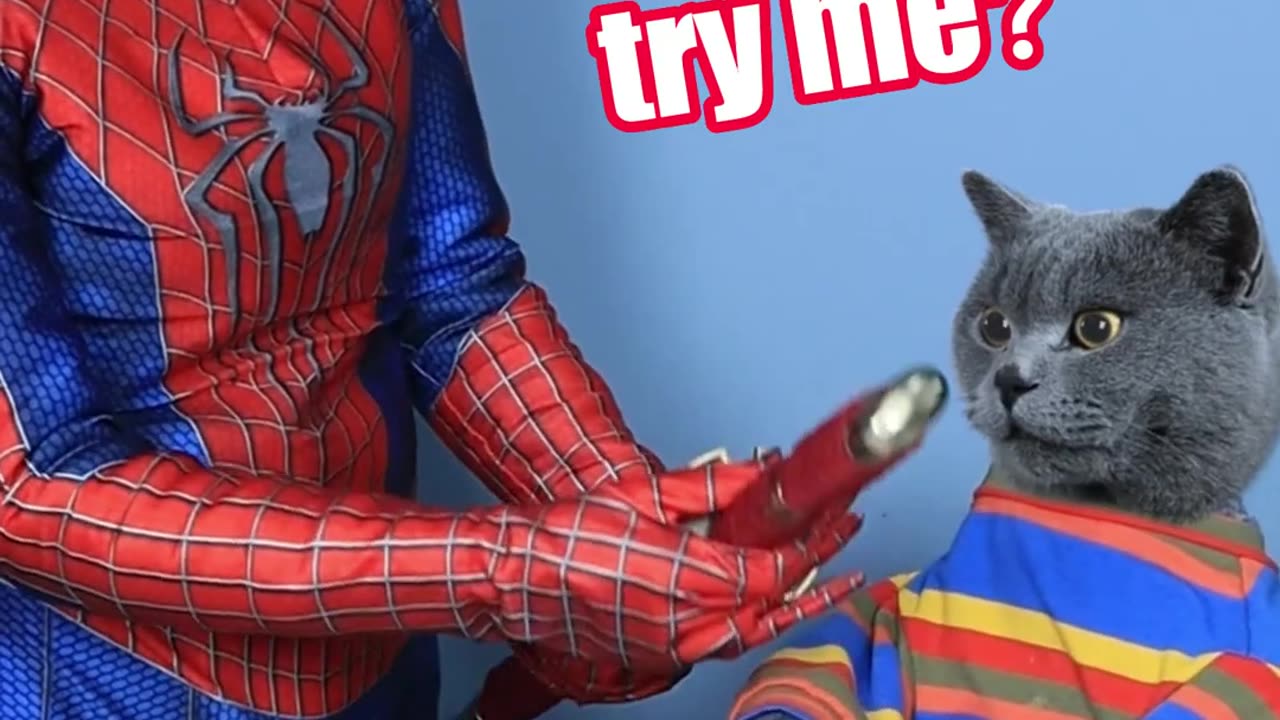 Funny cat video 🤣🤣🤣😹😹