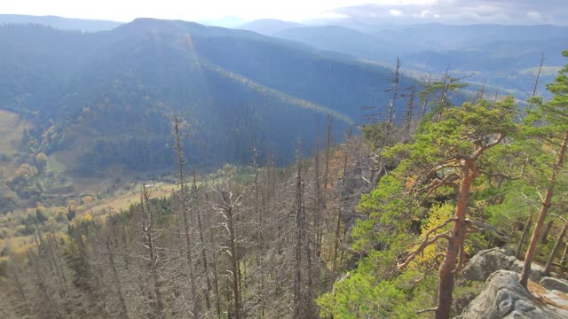 Carpathian mountains. Incredible landscapes