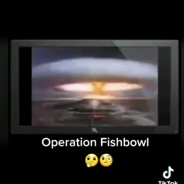 Operation Fishbowl