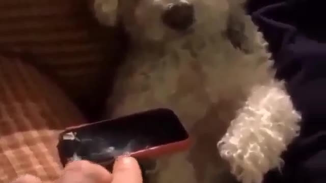 Don't touch my cell phone!