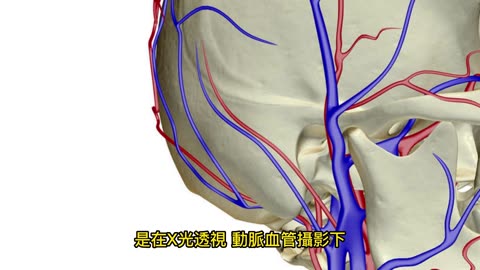 手指退化性關節炎 吃止痛藥無效