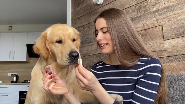 I Let My Dog Choose Between Chicken And Beef