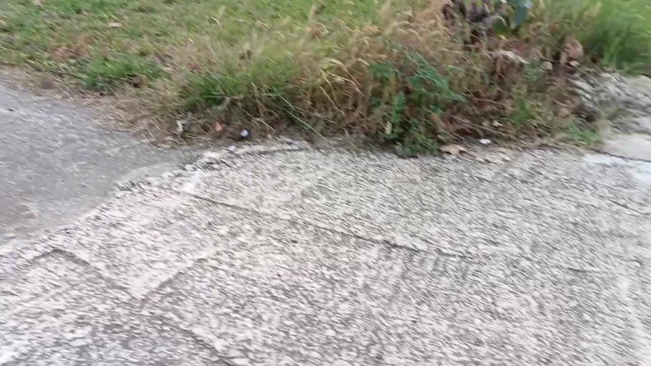 Bunlar sevilmezmi ya ☺️☺️🤗abone olan herkesten Allah razı olsun kardeşlerim 🤝