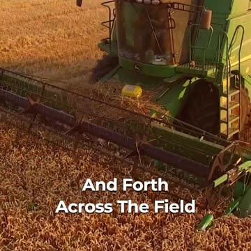 Unveil Cover Crops Benefits And Trade-Offs 🌱💲