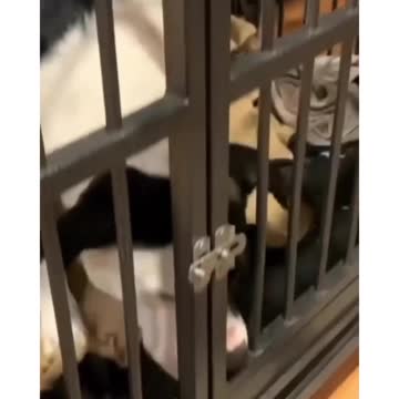 Lick the Locks like a Lollipop