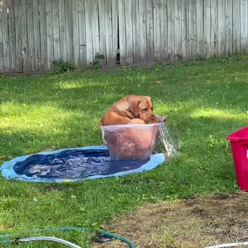 why is it so hot today