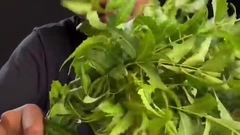 Exploring the Effects of ASMR Using Neem Juice #shorts