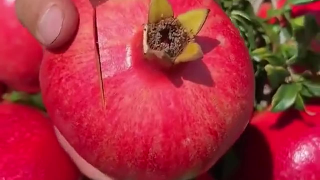 How are things going with you guys and then I can do that I don't know that I